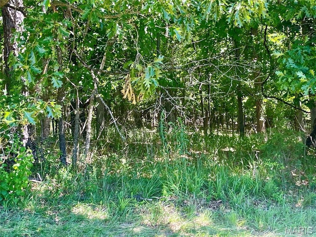 Picture 15