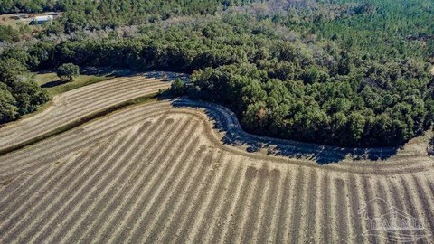 Pace, FL 10-Acre Parcel