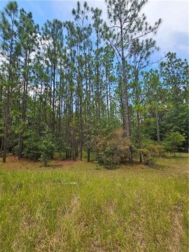 LAND - Eight Mile, AL