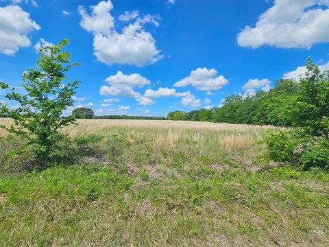Unrestricted Land in Edgewood, Texas