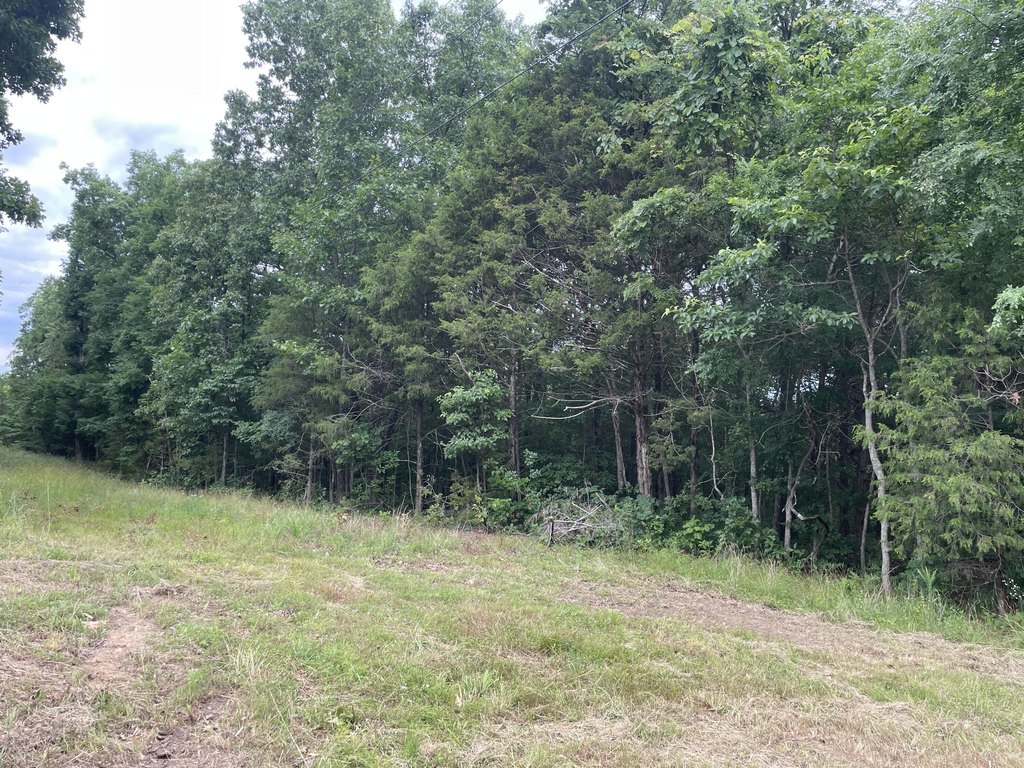 Picture 15