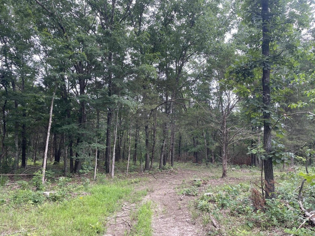 Picture 9