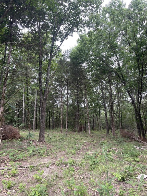 Picture 8