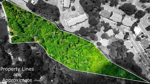 Undeveloped Wooded Tract in Taylors