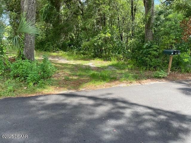Picture 6