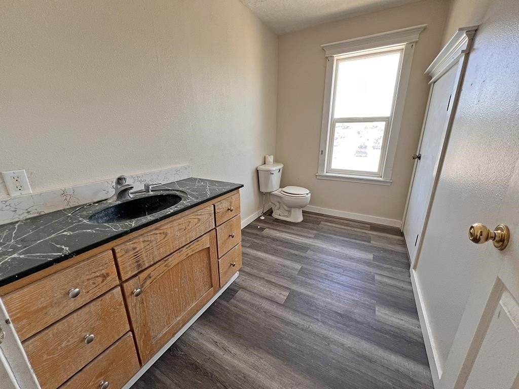 Picture 19