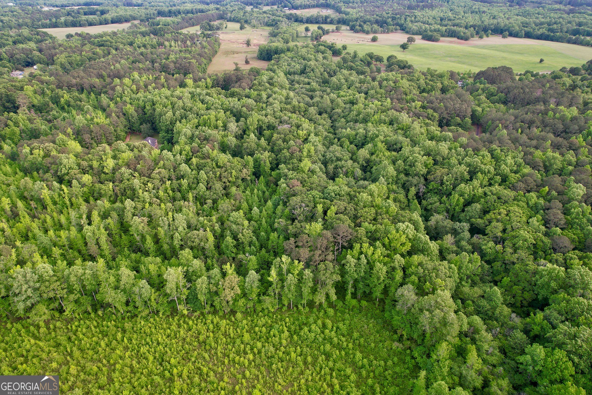 Land in North Pike County