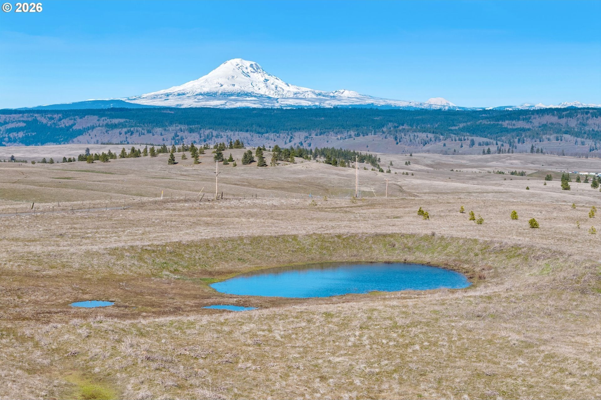 20 Acres with Pond in Lyle