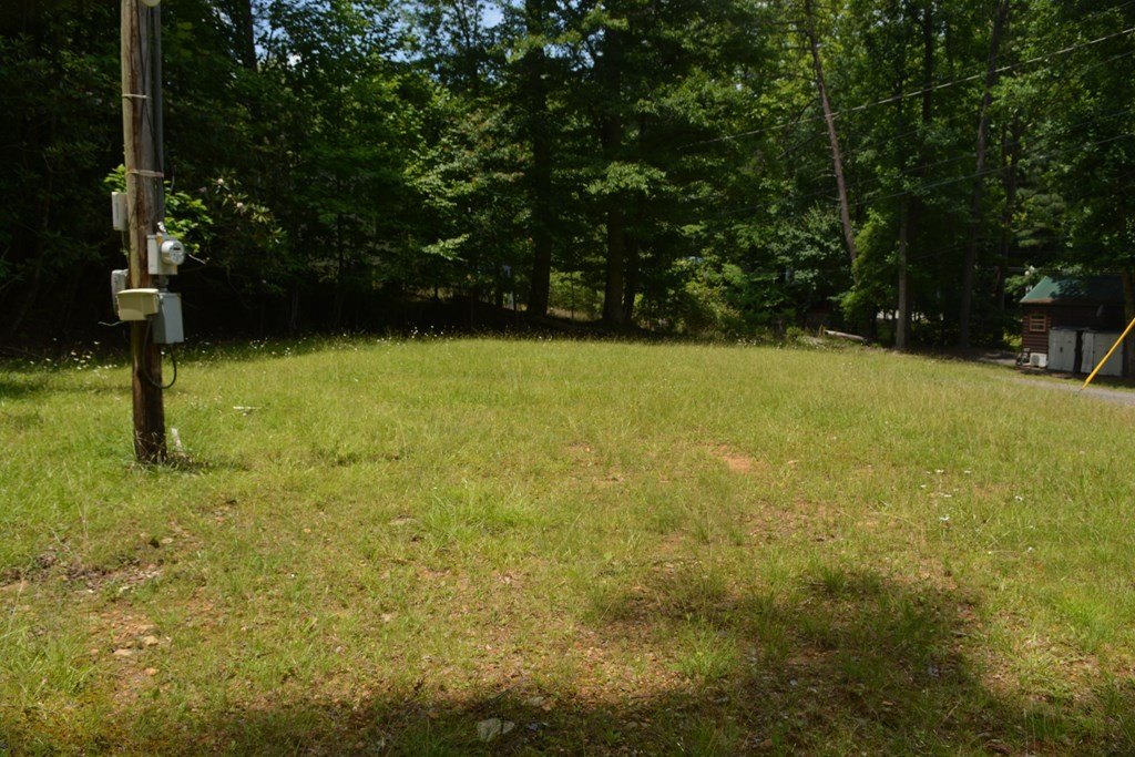 Picture 12