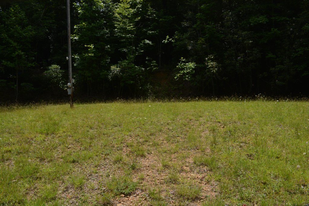 Picture 7