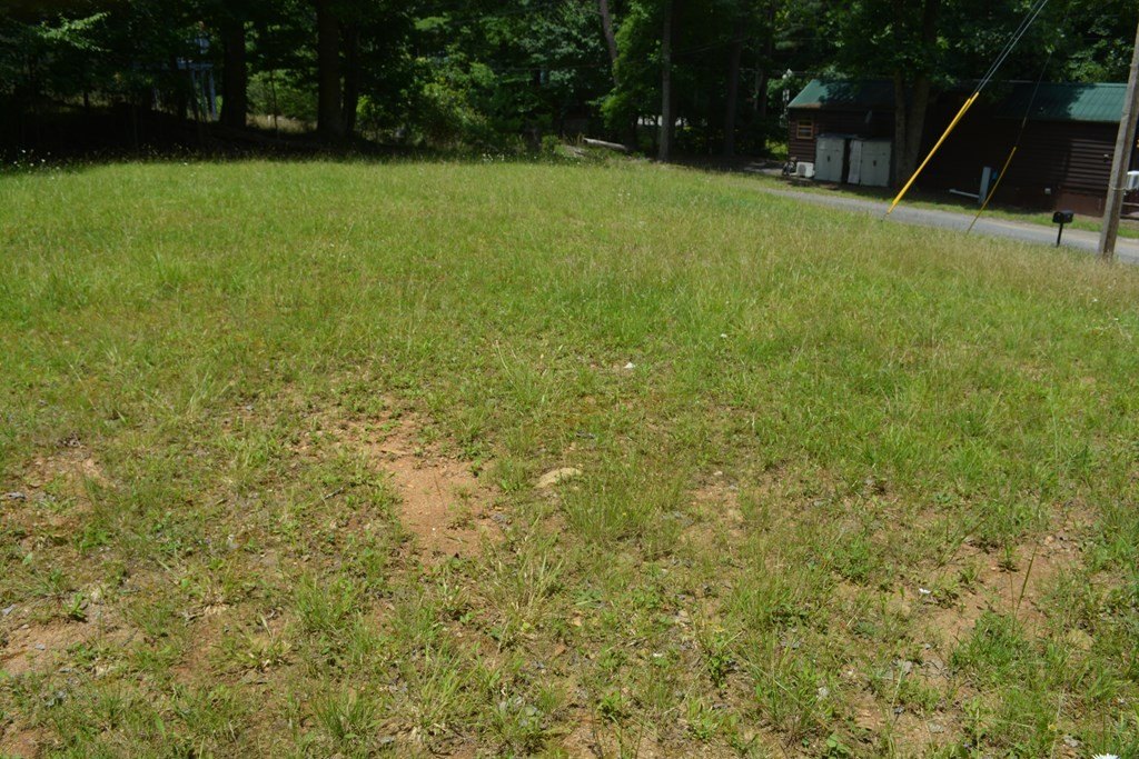 Picture 14