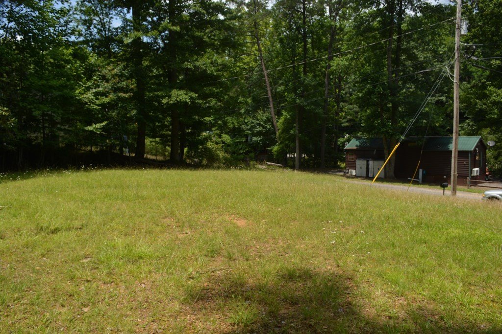 Picture 11