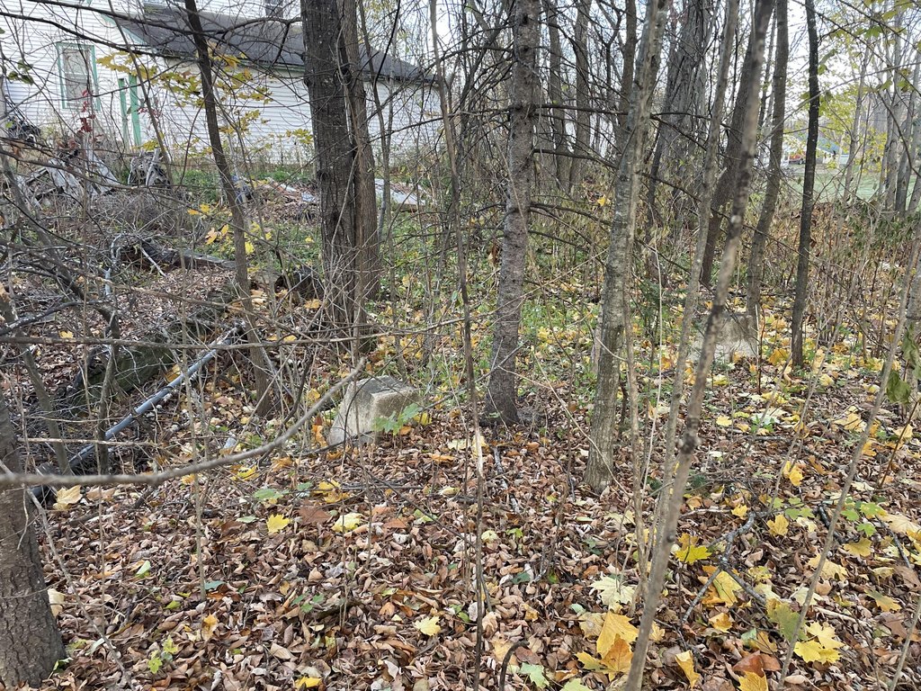 Picture 4