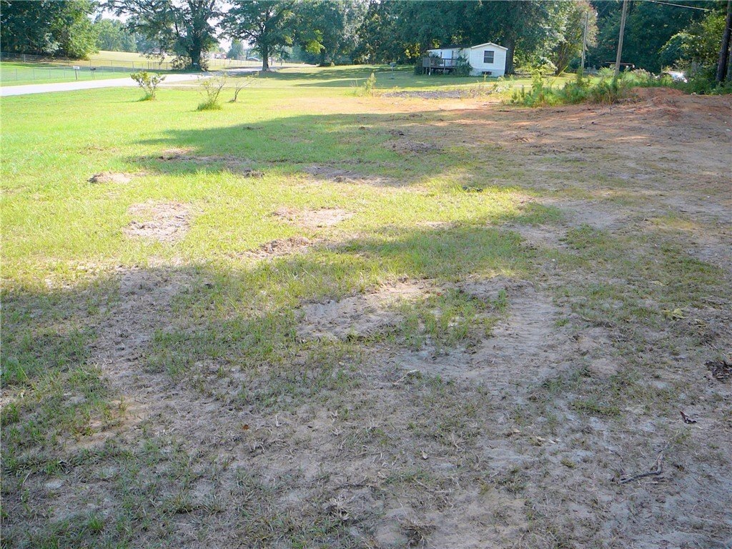 Picture 4