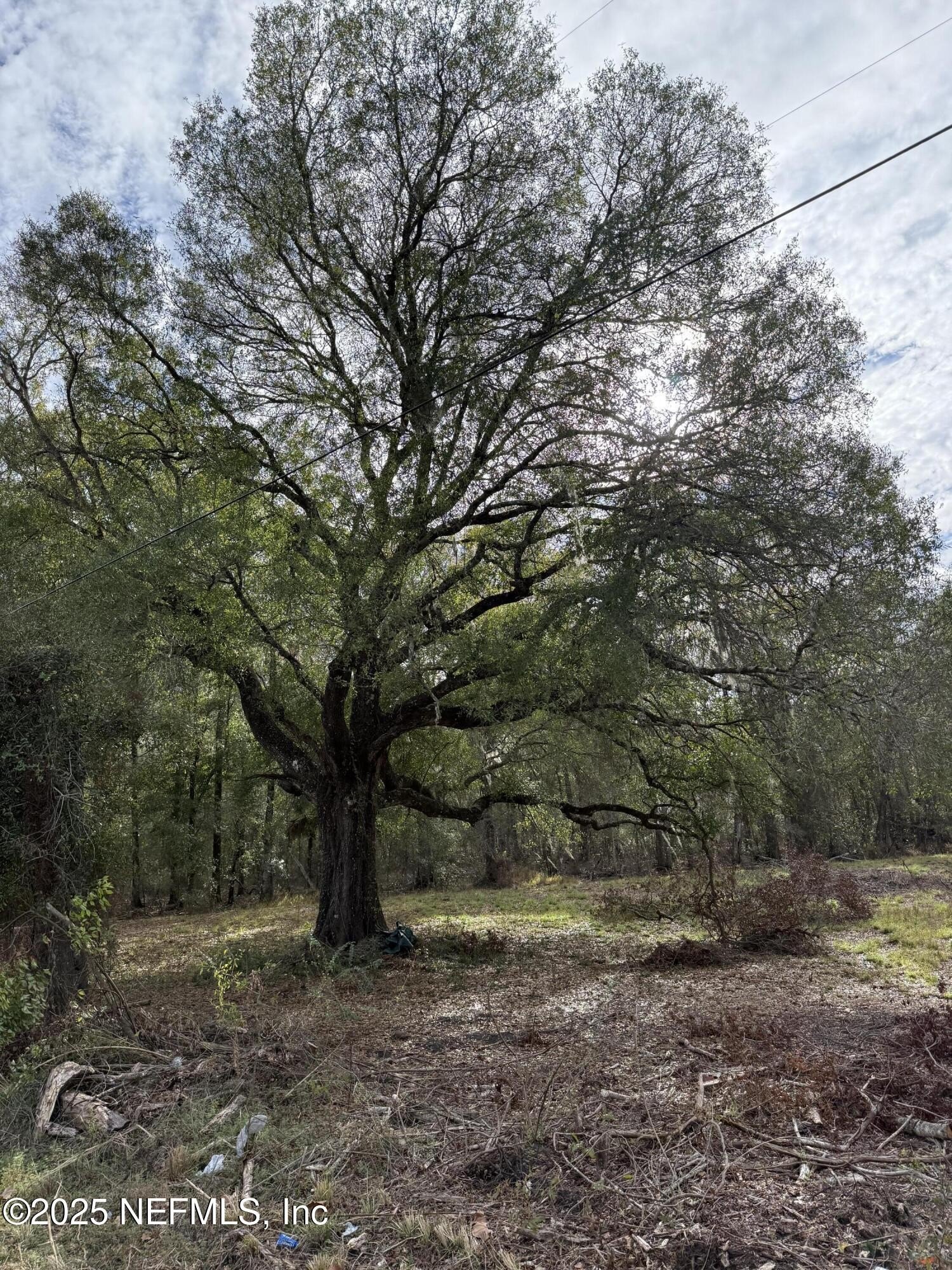 5.12 Acres in Starke, FL