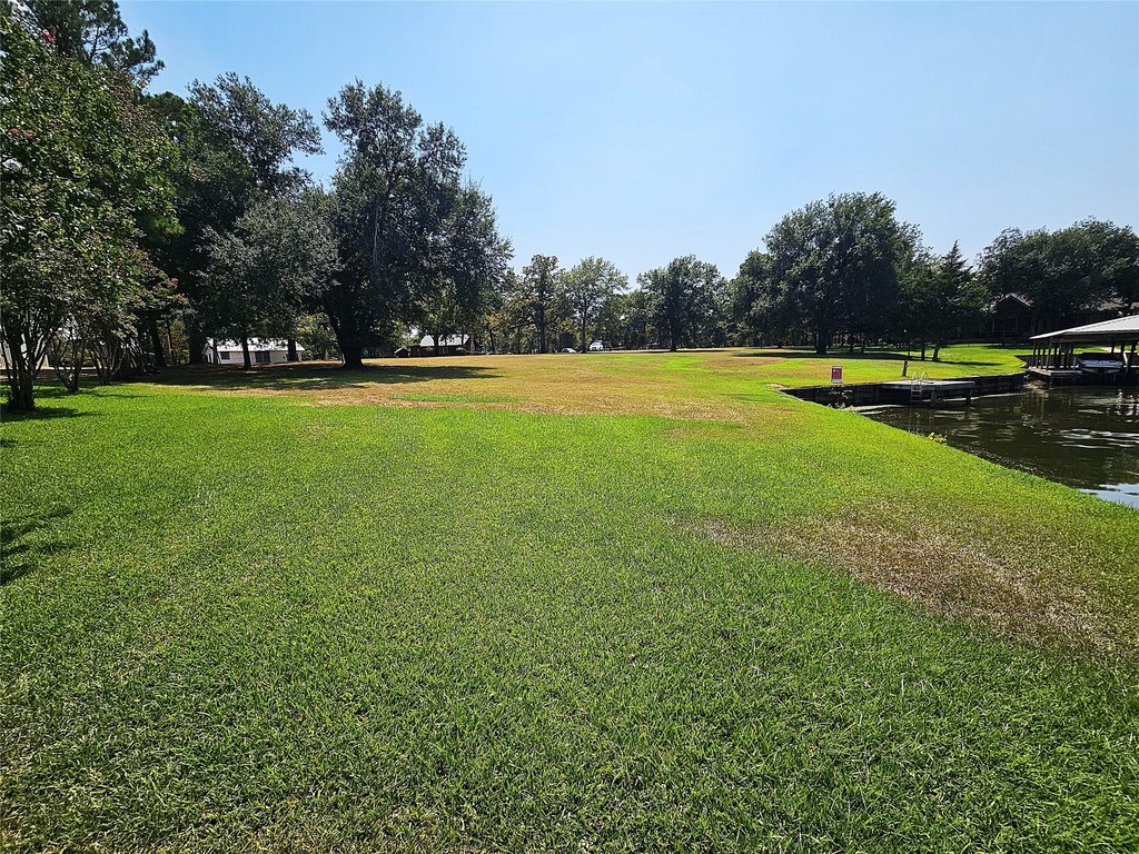 Picture 3