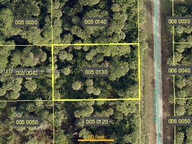 Residential Land in Lehigh Acres