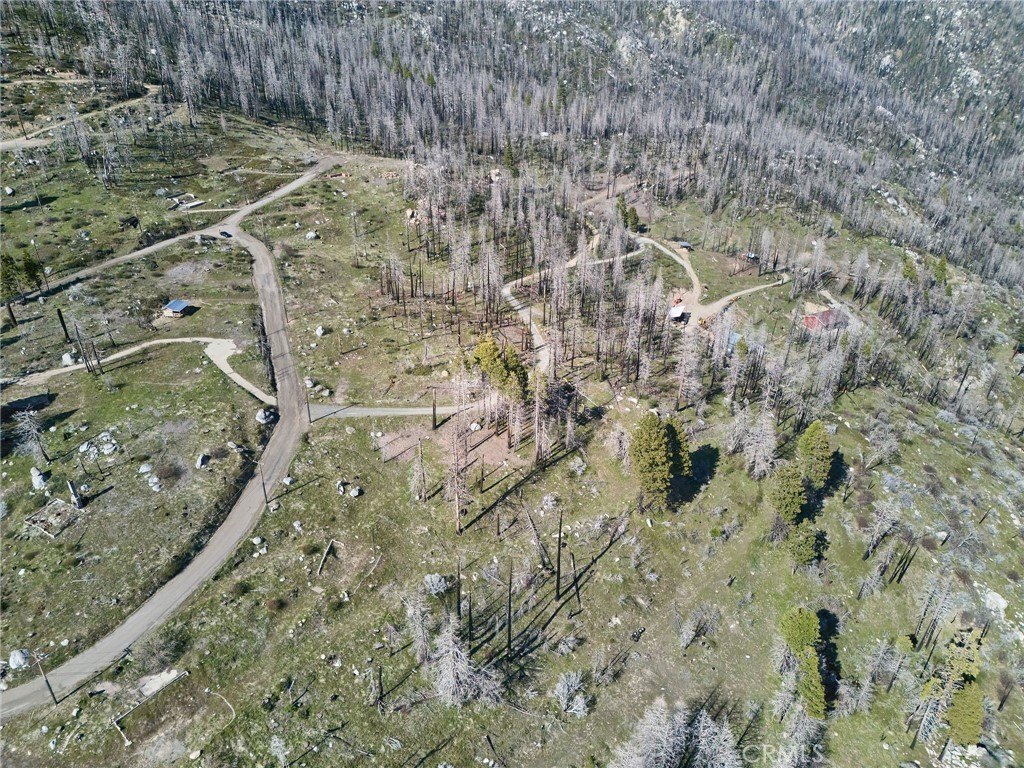 Picture 3