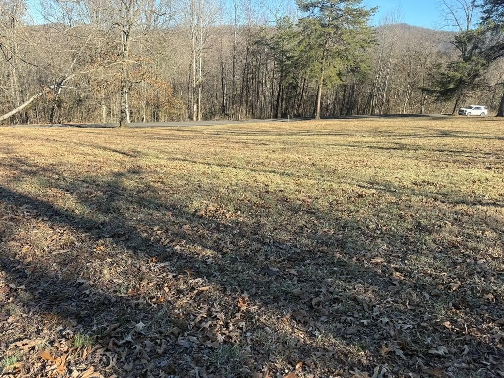 Cleared Lot in Albany, KY