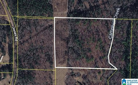 Vacant Land with Creek