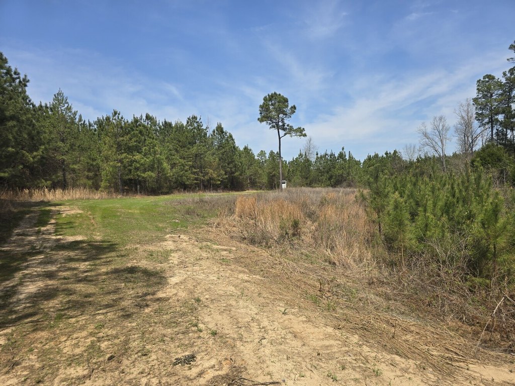 Picture 4