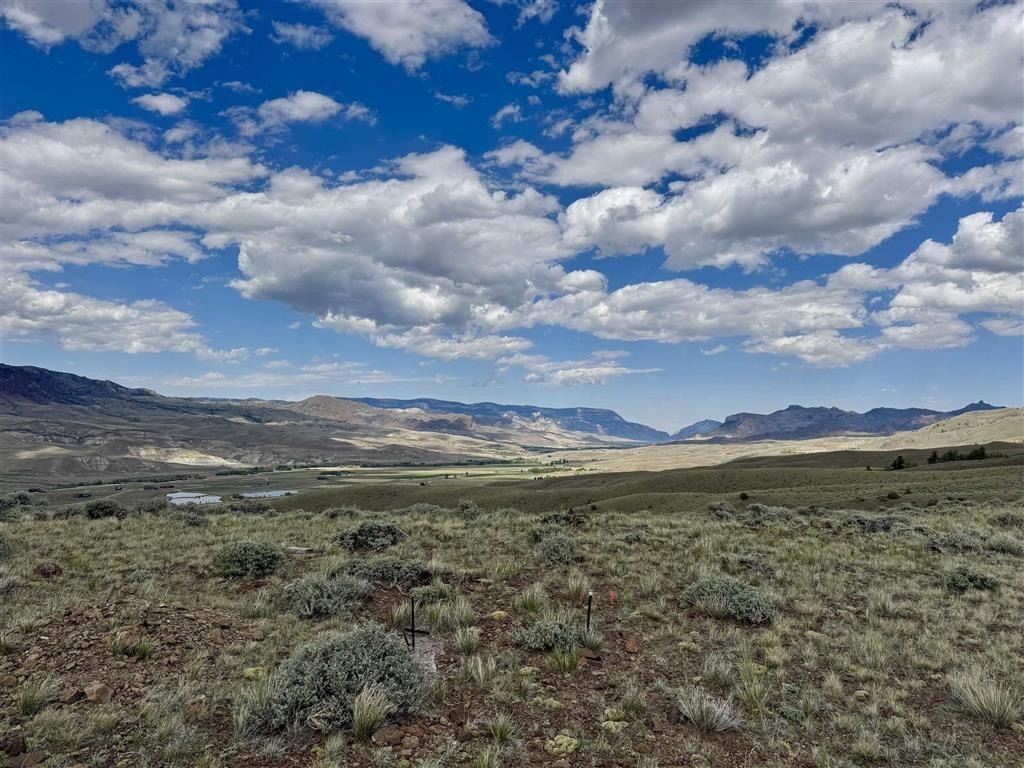Picture 3