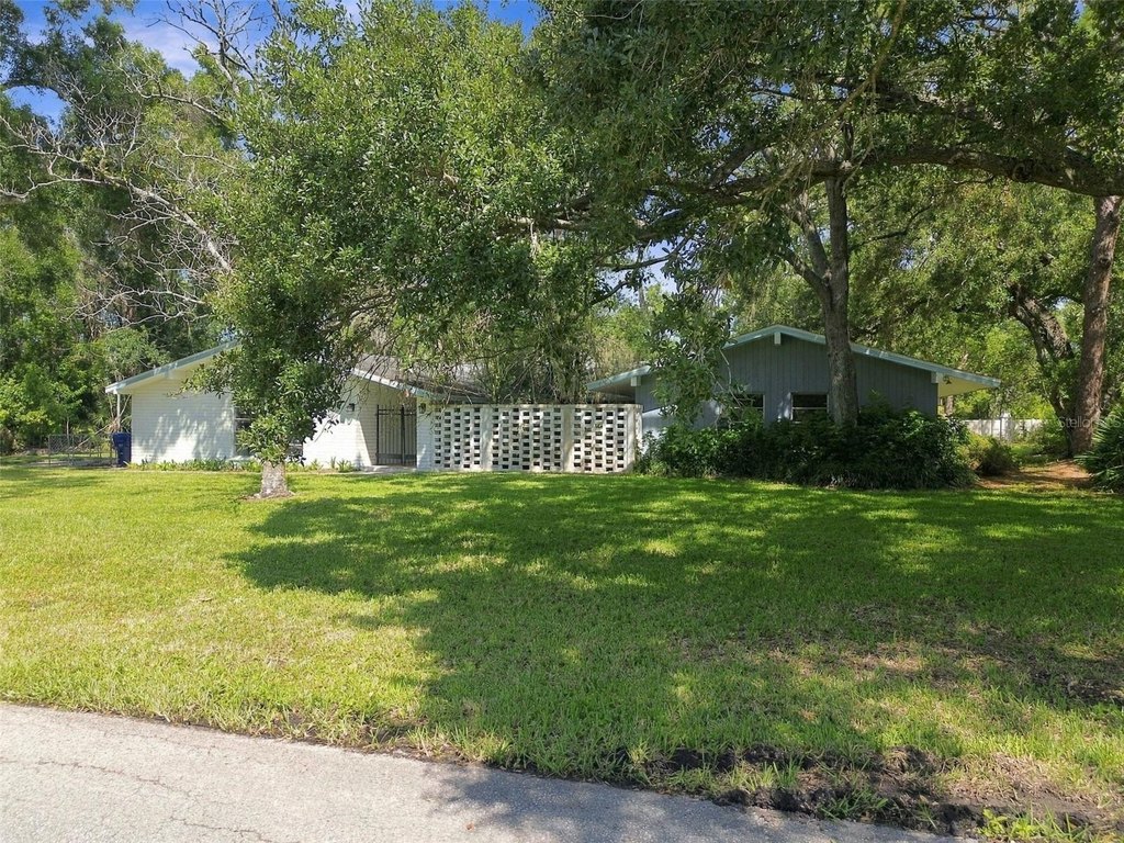 Picture 25
