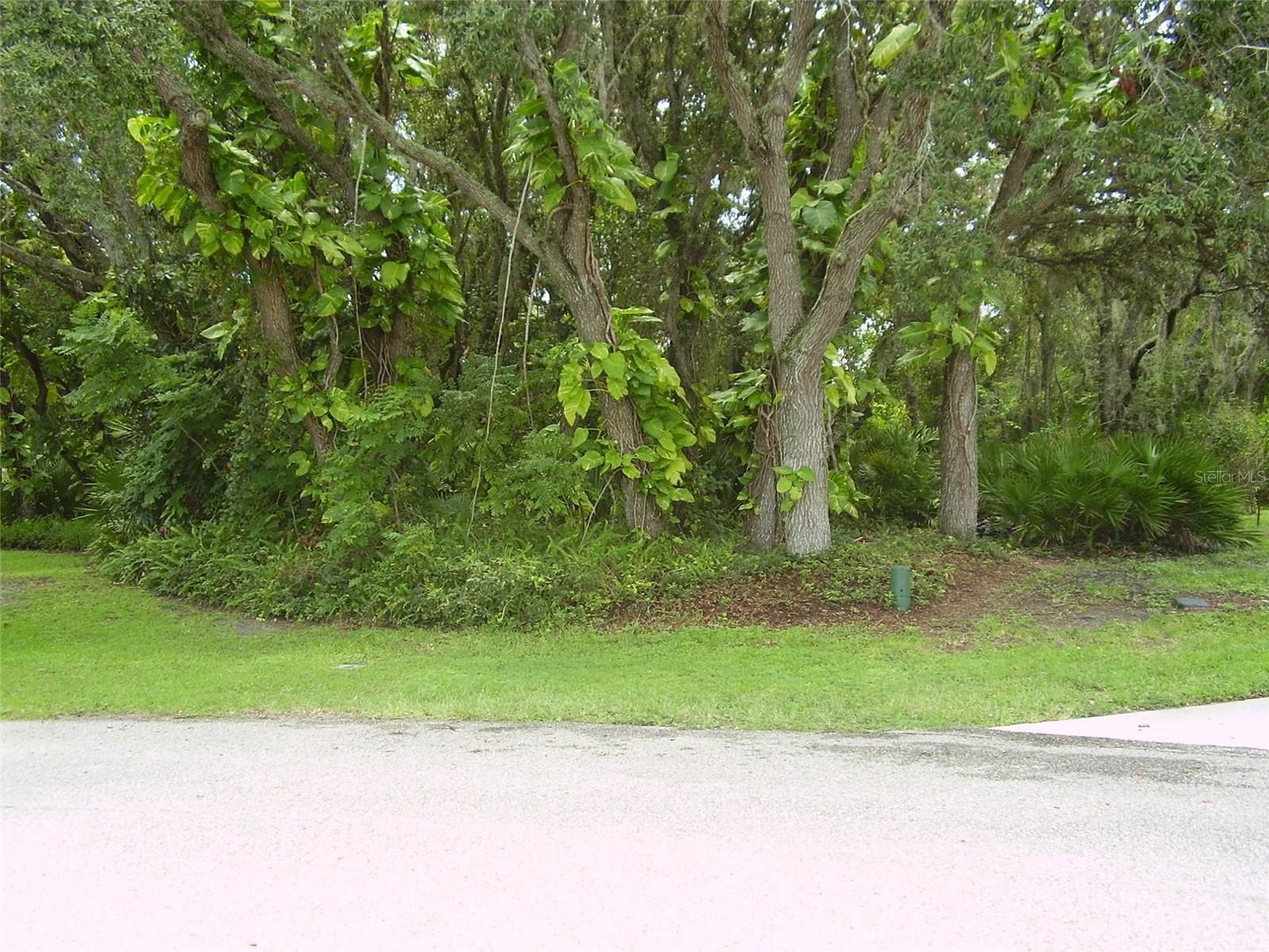 Residential Land in Quiet Cul-de-Sac