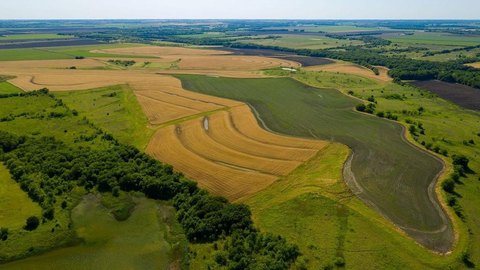 Productive Farmland with Creek Frontage