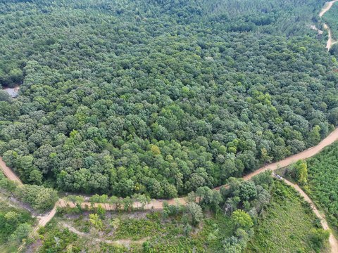 Land, Fayette, AL