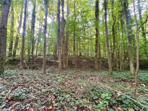 Land, Lewisville, NC