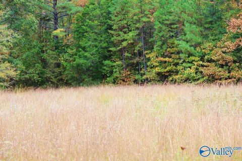 Decatur Land Ready to Build