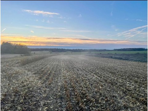 15 Acres in Black Brook