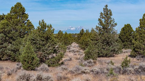 LAND - Powell Butte, OR