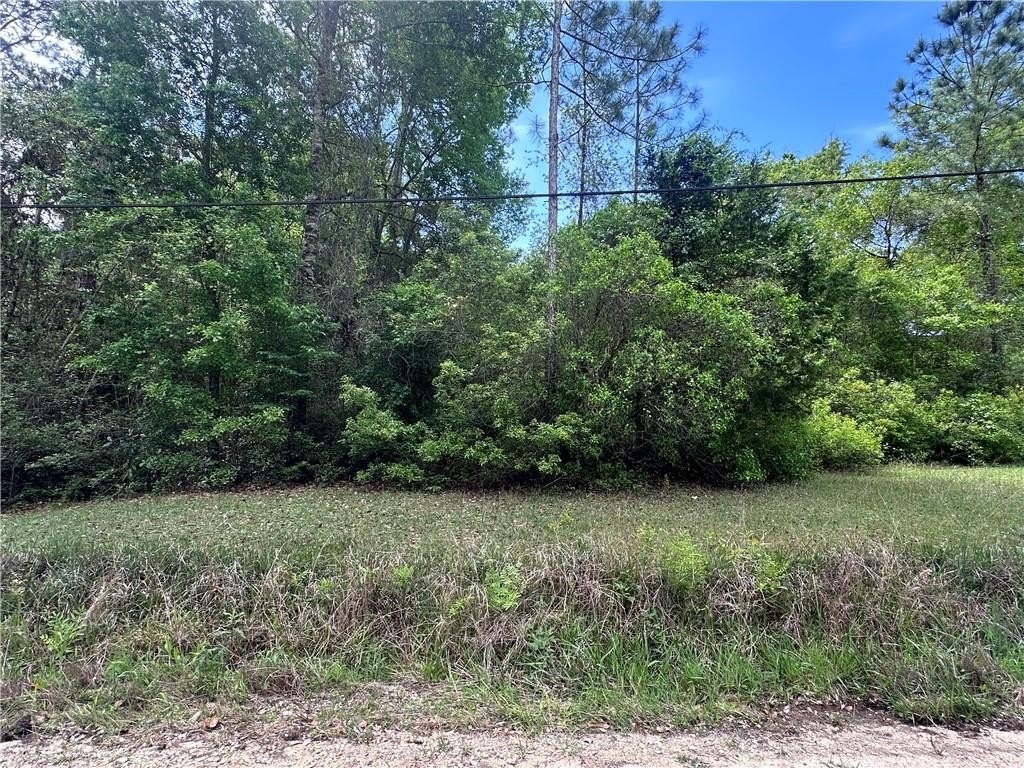 Residential Lot near Fowl River