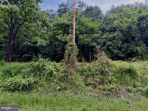 LAND - STANLEY, VA