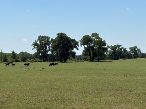 Agricultural Land with Water Wells