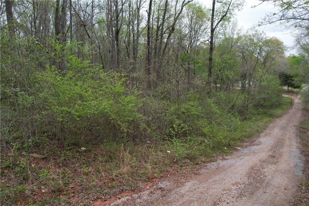 Picture 4