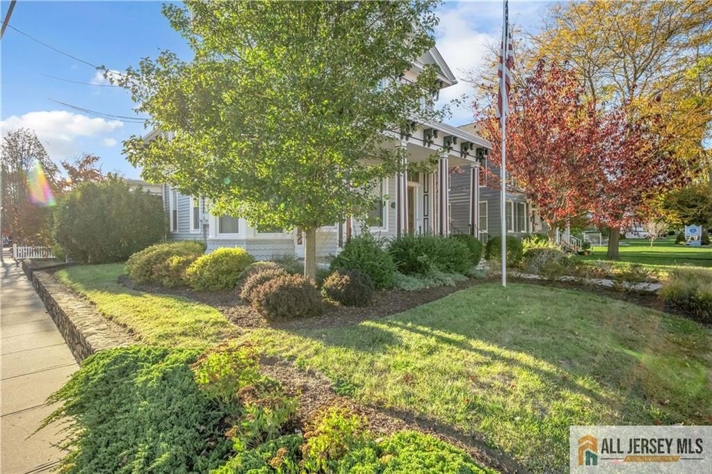 Picture 5
