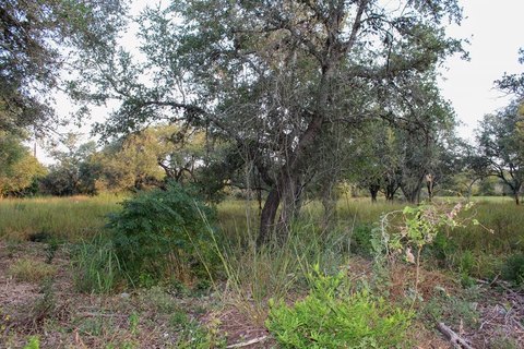 Residential Land in Beeville, TX