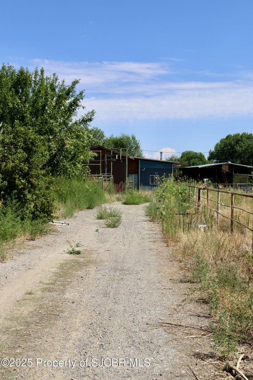Picture 5