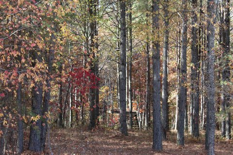 Residential Land in Jasper, TN