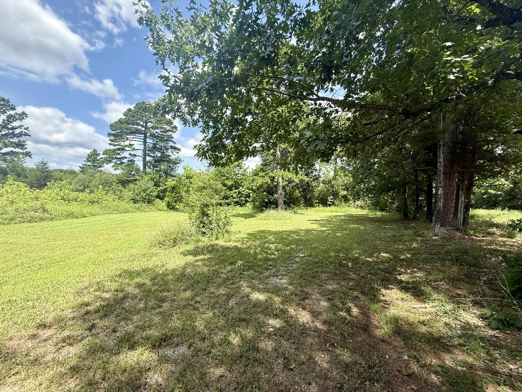 Picture 6