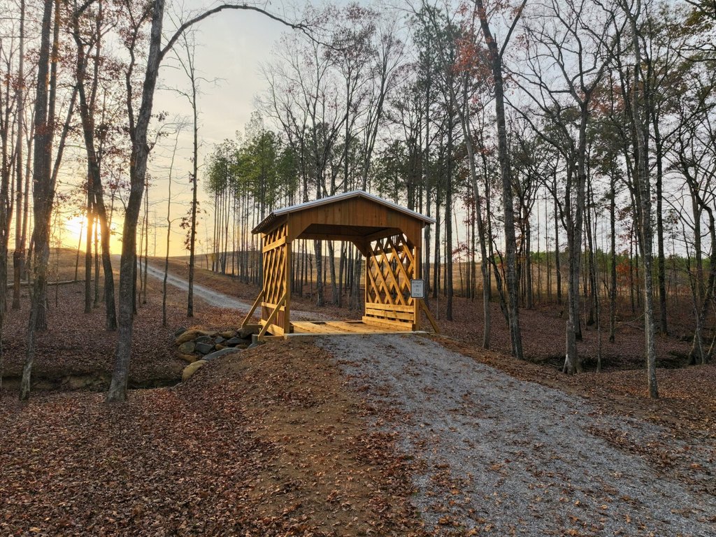 Picture 2