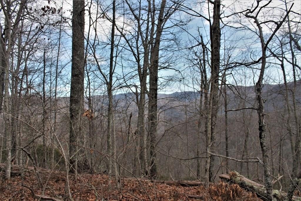 Ridgetop Lot with Mountain Views
