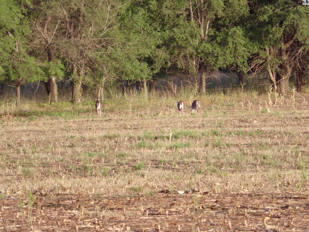 Picture 26