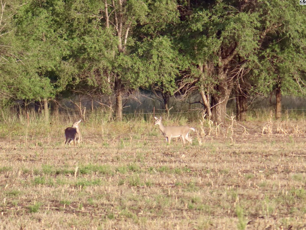 Picture 28