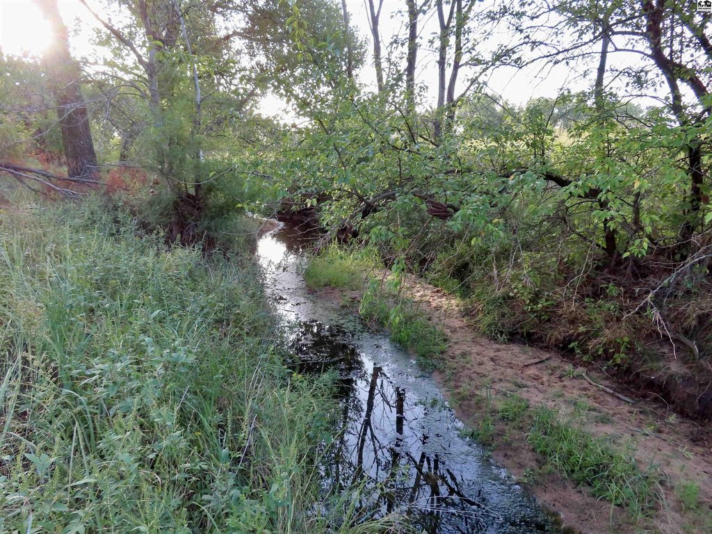 Picture 22