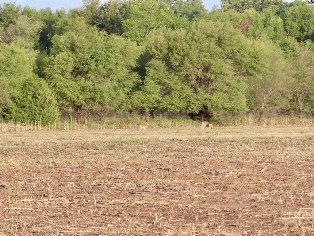 Picture 29