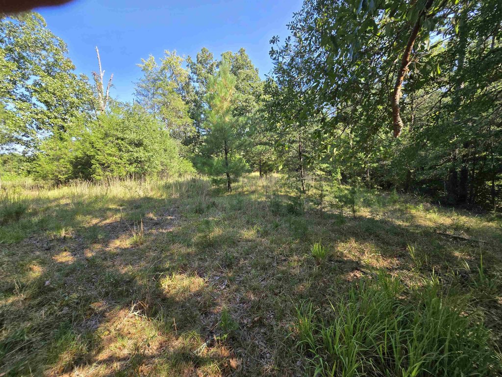 Picture 14